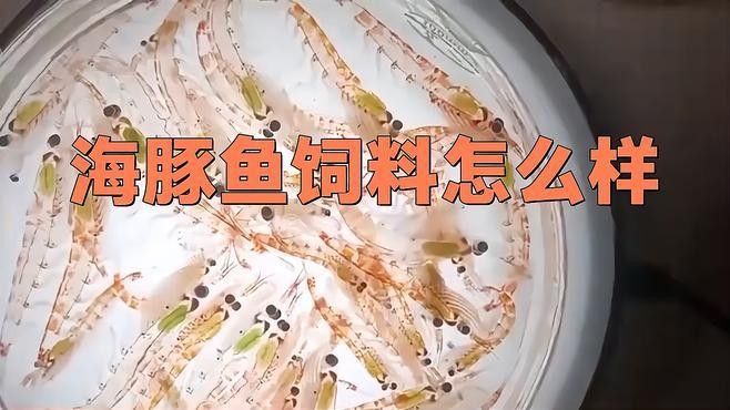 龍魚專用飼料有哪些品牌推薦？