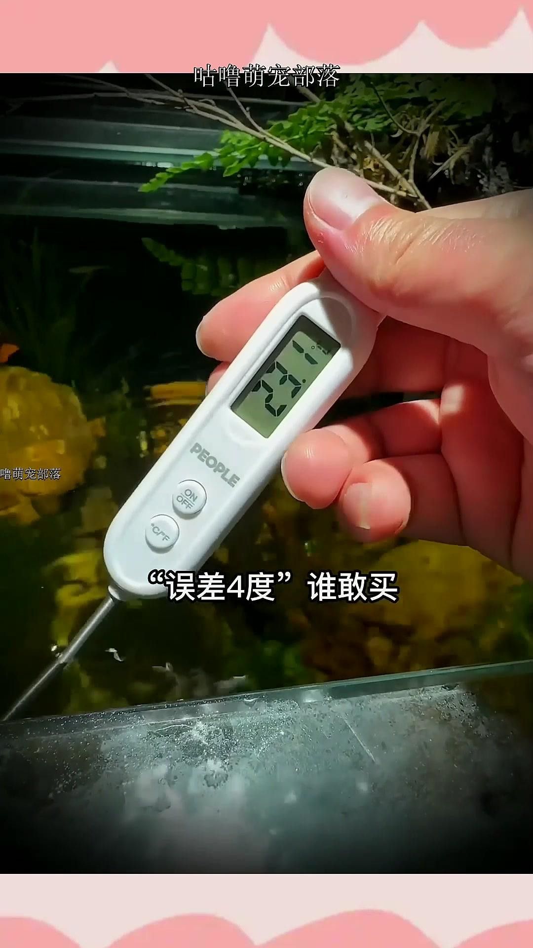 如何定期校準(zhǔn)魚缸溫度計(jì)？