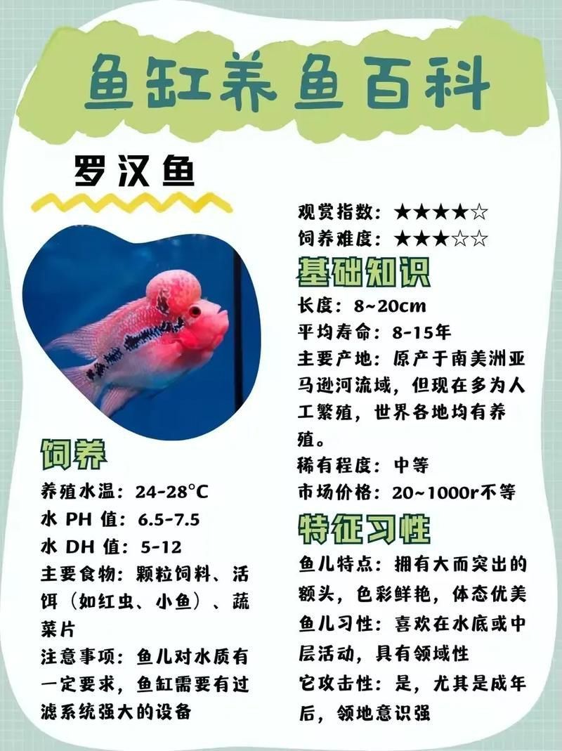 羅漢魚價(jià)格表最新圖片