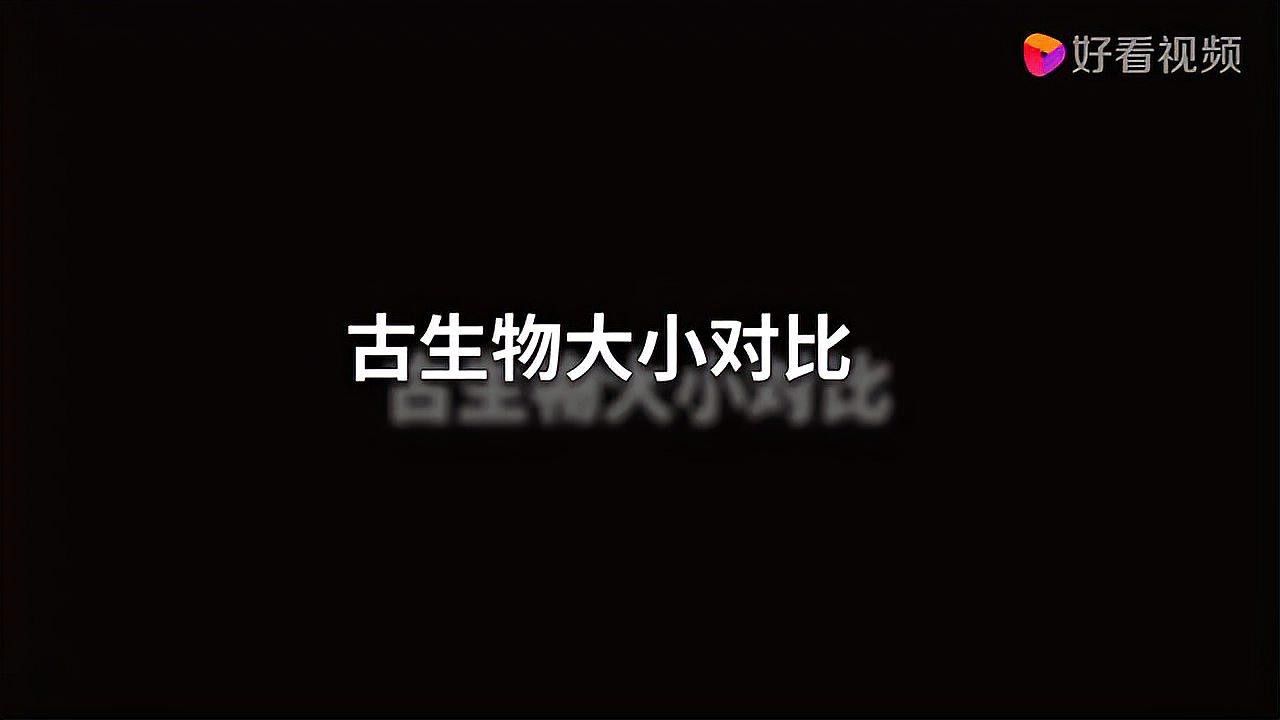 金龍魚霸王龍