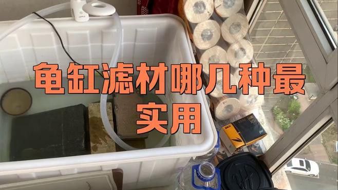 龍龜放魚缸有哪些材質(zhì)選擇？