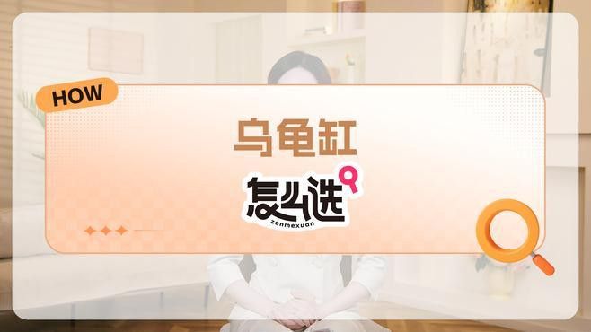 龍龜放魚缸有哪些材質(zhì)選擇？