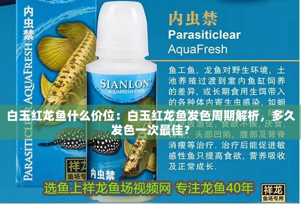 白玉紅龍魚什么價位：白玉紅龍魚發色周期解析，多久發色一次最佳？