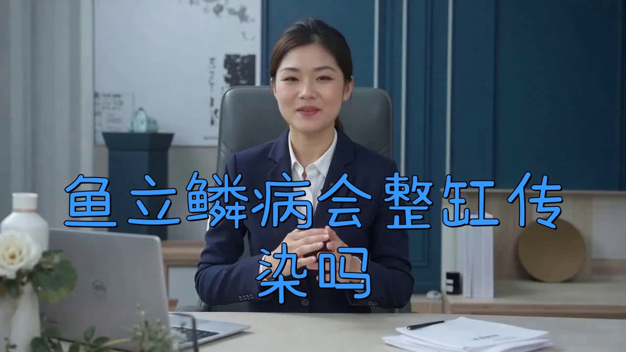 紅龍魚立鱗病會傳染嗎？