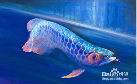 龍魚缸ph值高怎么降低：龍魚對水質的具體要求，自然調節法的注意事項