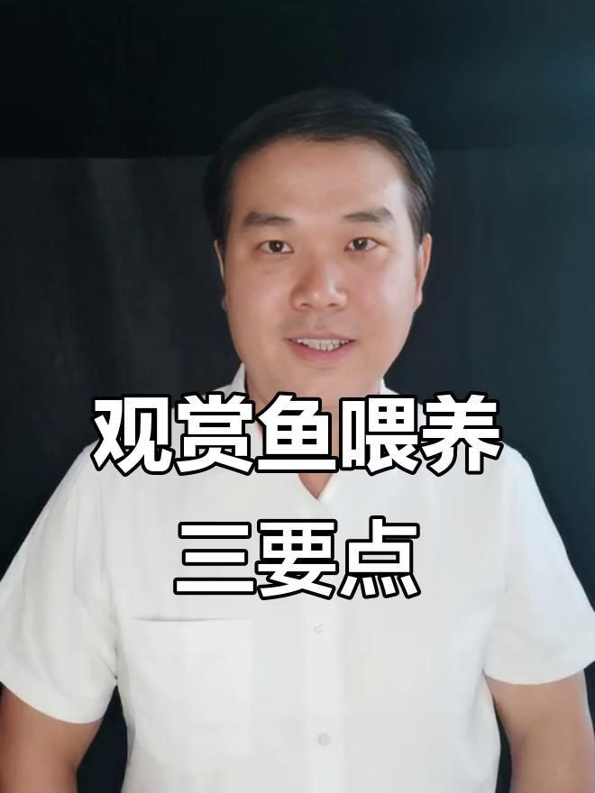 藍(lán)帆眼班三間魚喂什么