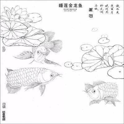 國畫金龍魚的畫法步驟，國畫金龍魚的畫法技巧，國畫金龍魚配景繪制方法