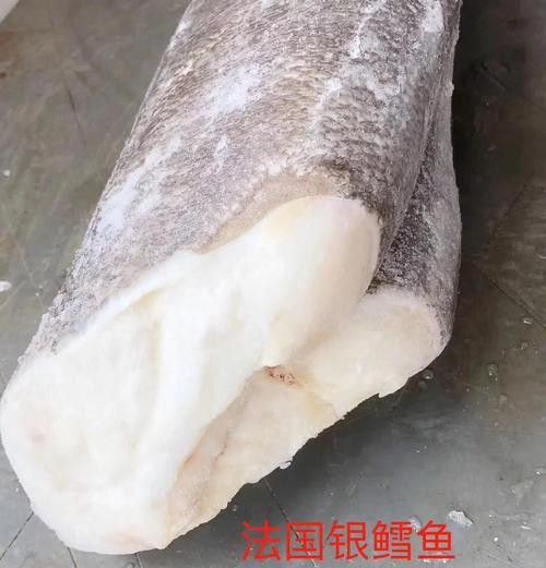 白色銀龍魚會變其他顏色嗎圖片大全