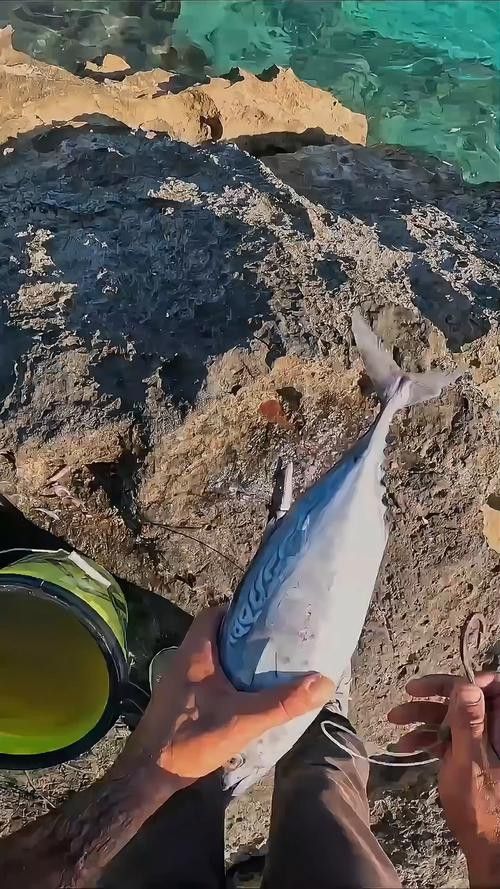 北海龍魚圖片欣賞大全大圖