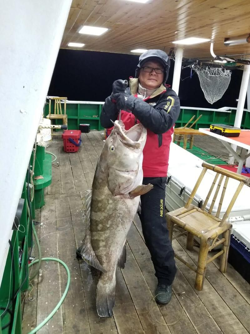 北海龍魚圖片欣賞大全大圖