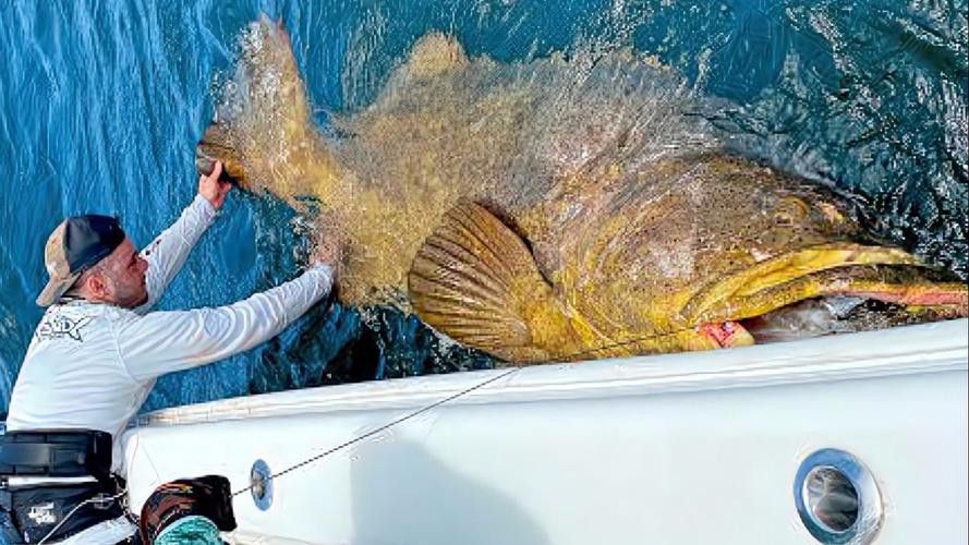 北海龍魚圖片欣賞大全大圖