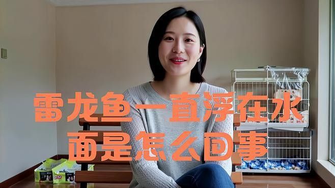 龍魚在水面不動正常嗎怎么回事