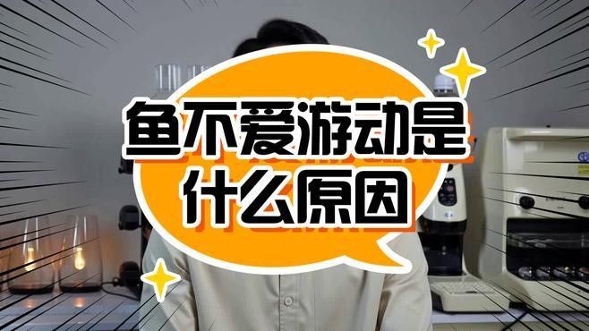 龍魚在水面不動正常嗎怎么回事