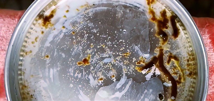 龍魚腸炎癥狀有哪些？