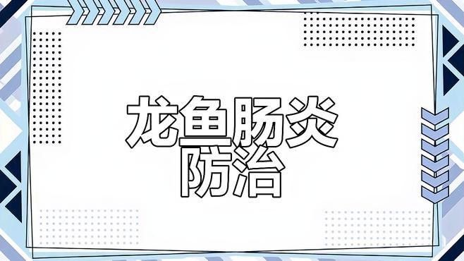 龍魚腸炎癥狀有哪些？