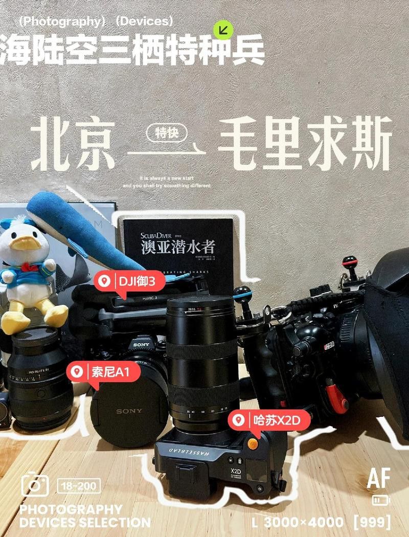 如何拍攝金龍魚的高清照片？