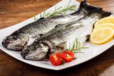 龍魚能吃三文魚肉嗎：龍魚可以吃三文魚肉嗎