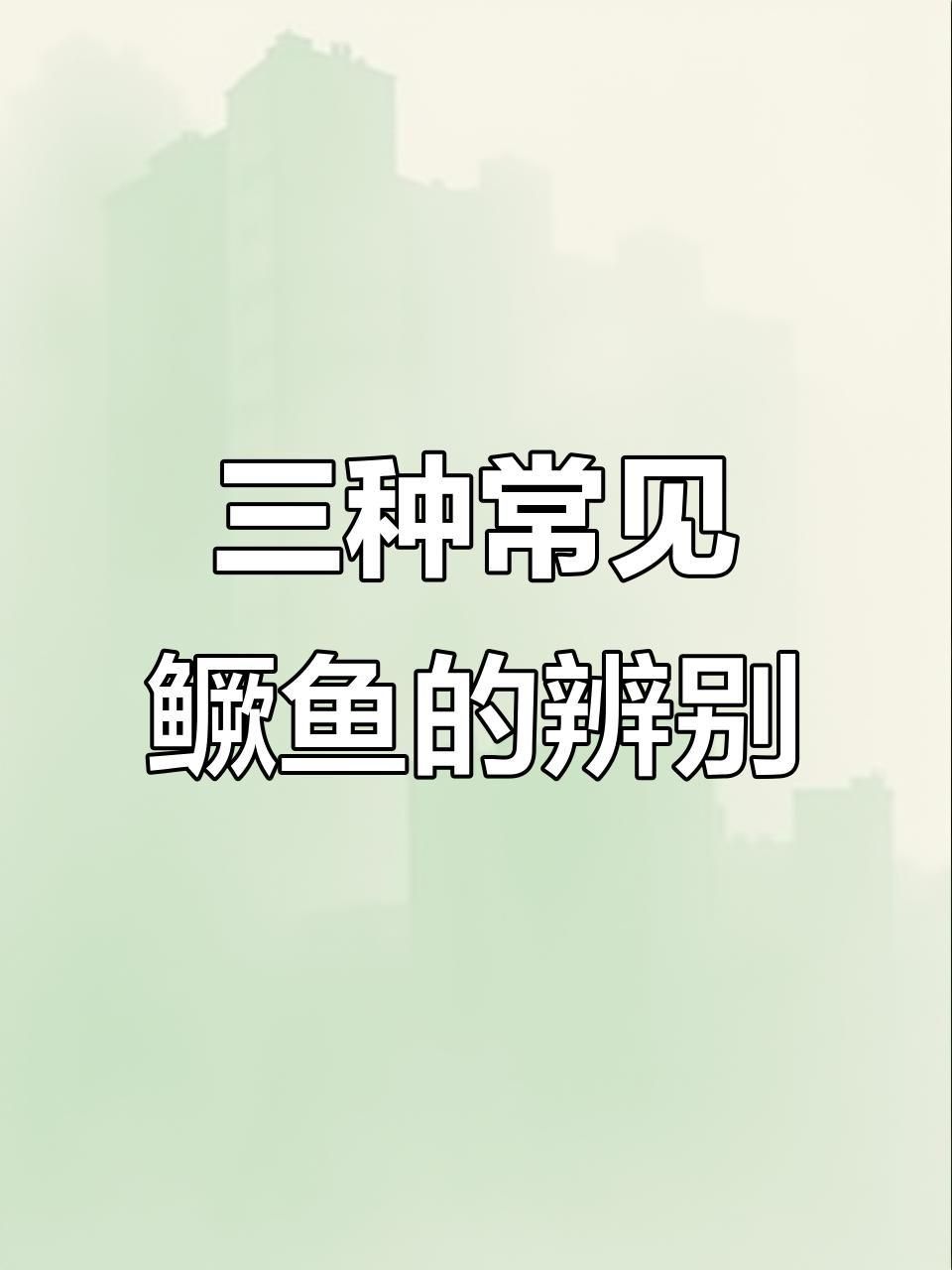 如何區分普通鱖魚和其他種類？