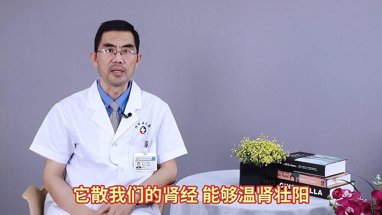 海馬和海龍有哪些功效與作用？