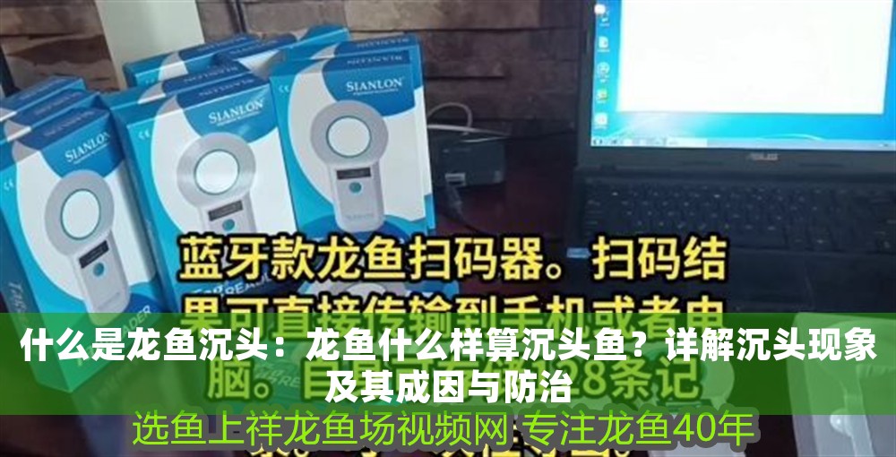 什么是龍魚沉頭：龍魚什么樣算沉頭魚？詳解沉頭現象及其成因與防治