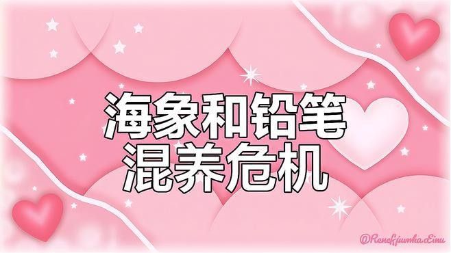 雷龍魚七彩混養(yǎng)圖片 雷龍魚七彩混養(yǎng)圖片 龍魚百科 第22張