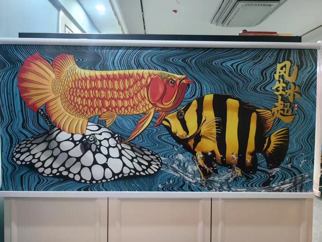 有哪些適合金龍魚魚缸的背景圖片？