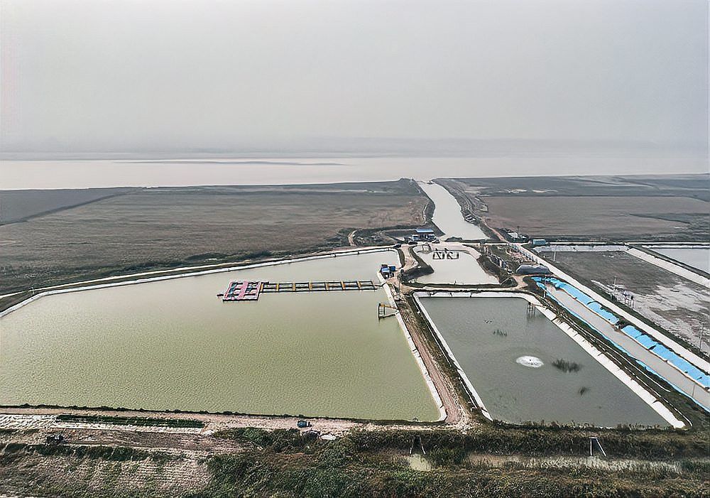 中國龍魚繁殖基地有哪些