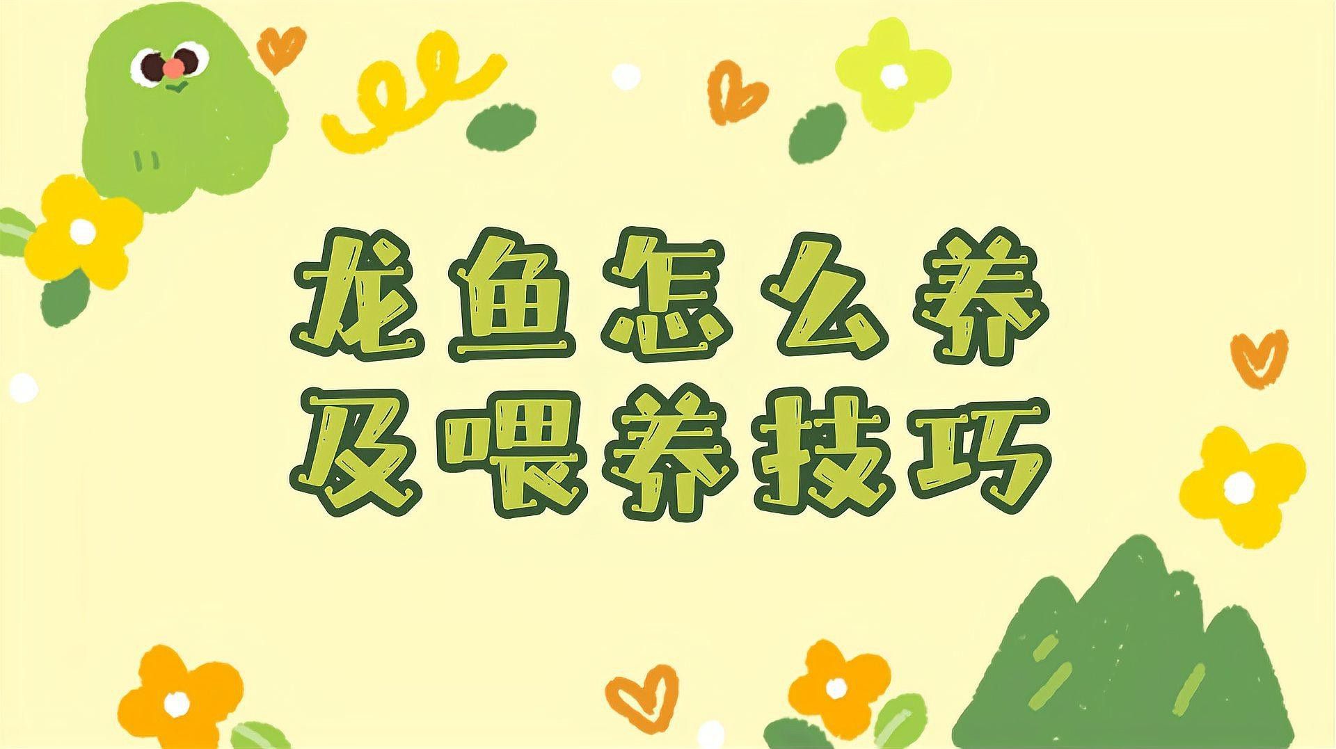 澳洲斑紋龍魚怎么養殖