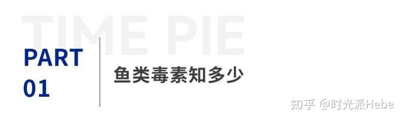 家養龍魚好嗎有毒嗎