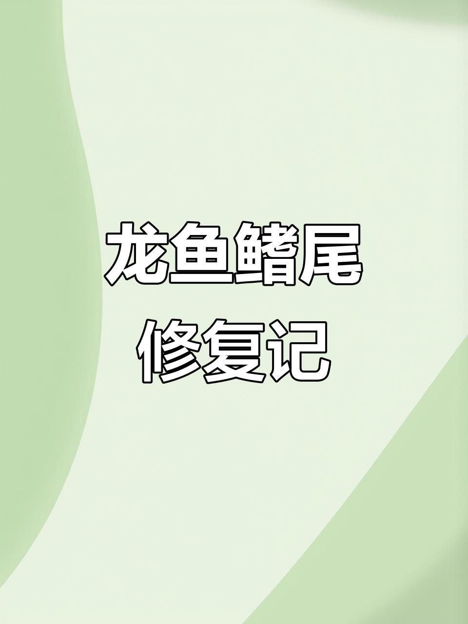 過背金龍七鰭受傷后如何恢復？
