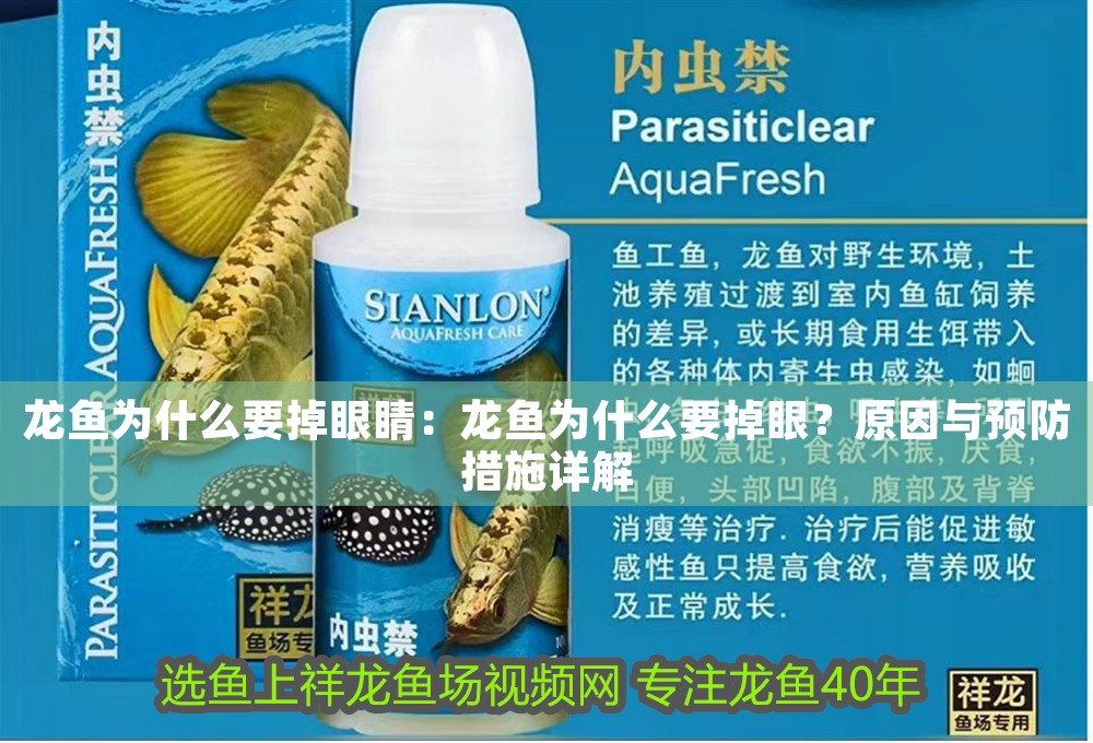 龍魚為什么要掉眼睛：龍魚為什么要掉眼？原因與預防措施詳解