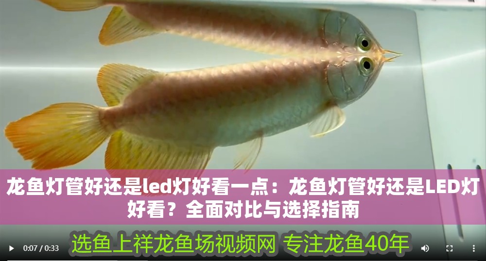 龍魚燈管好還是led燈好看一點：龍魚燈管好還是LED燈好看？全面對比與選擇指南
