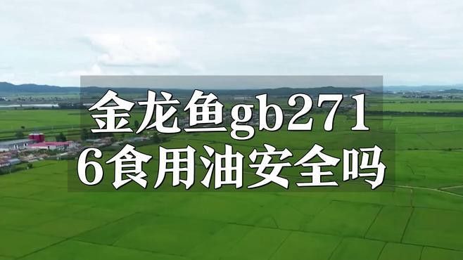 如何判斷金頭金龍魚是否健康？