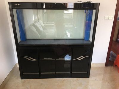 龍魚缸那種底濾最好用（如何自制龍魚缸底濾系統）