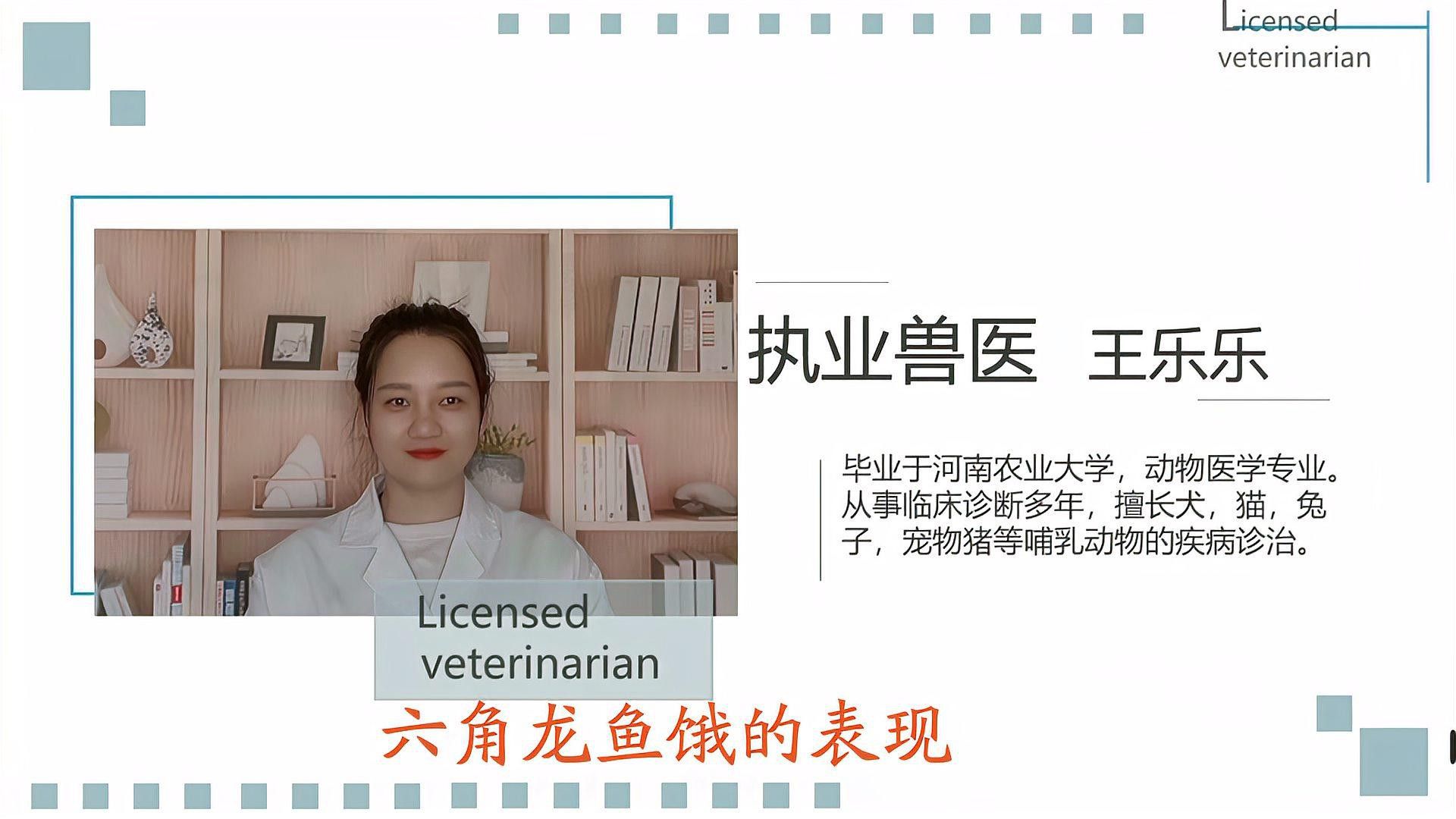 恐龍魚會吃自己嗎圖片