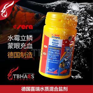 龍魚水霉下鹽升溫可以嗎（龍魚水霉病可以通過下鹽和升溫的方法治療龍魚水霉病）