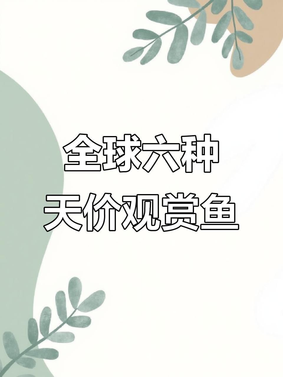 還有哪些觀賞魚價格昂貴？