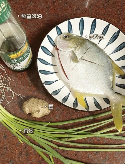金昌魚圖片