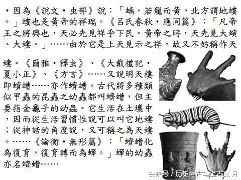 珠鱗象征意義如何影響人物塑造？