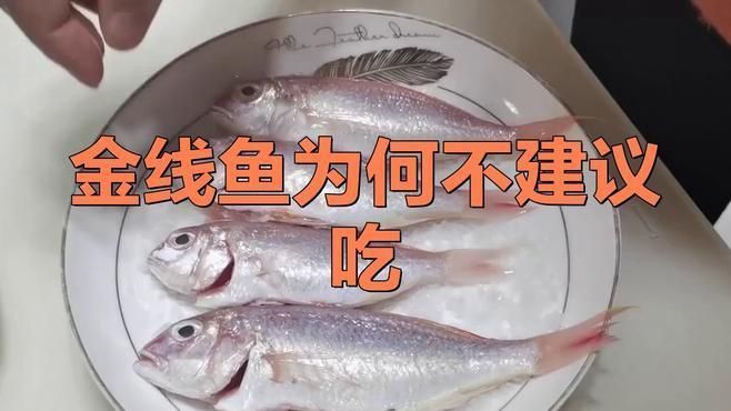 金線魚盡量少吃的原因