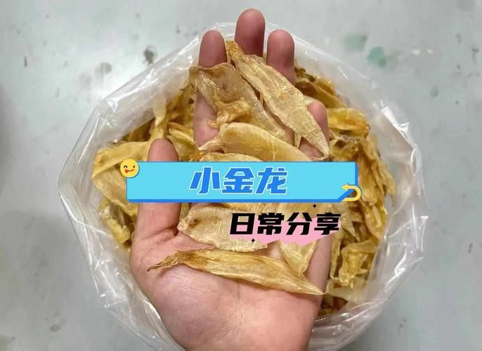 金龍魚魚膠好還是鳘魚魚膠好？