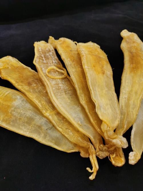 金龍魚魚膠好還是鳘魚魚膠好？