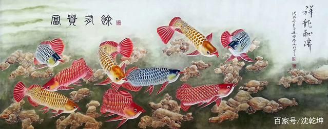 紅龍魚可以和清道夫一起混養嗎：紅龍魚可以和清道夫一起混養但需要注意清道夫的作用