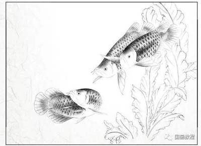 紅龍魚可以和清道夫一起混養嗎：紅龍魚可以和清道夫一起混養但需要注意清道夫的作用