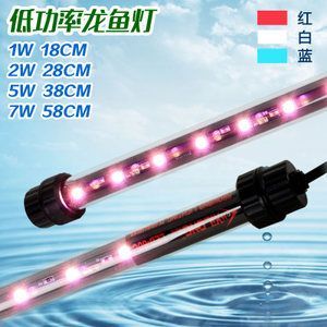 龍魚燈led和燈管的區(qū)別：led燈與燈管的區(qū)別
