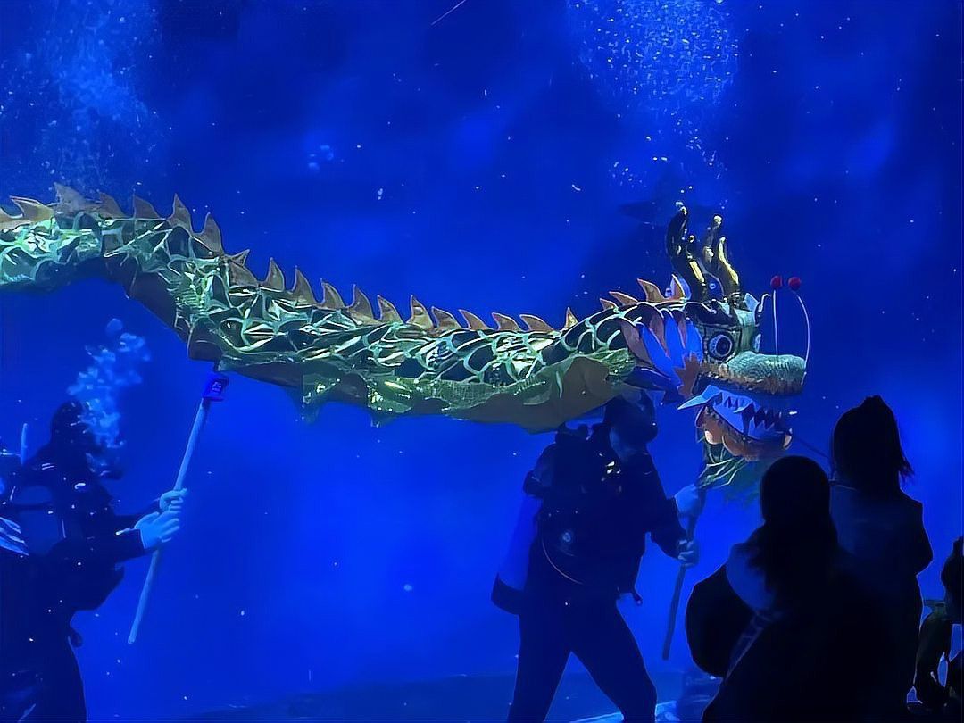水族館金龍魚圖片