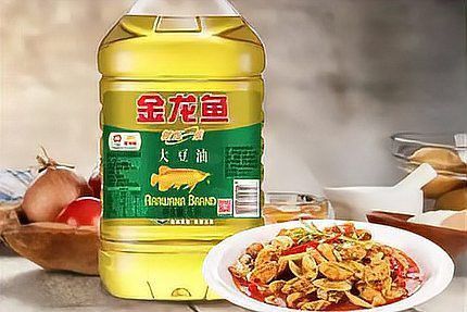 金龍魚何時公布2024年財報？