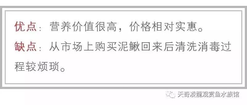 龍魚可以吃火腿腸嗎：龍魚不適合吃火腿腸，飼養者應該選擇更適合龍魚的食物