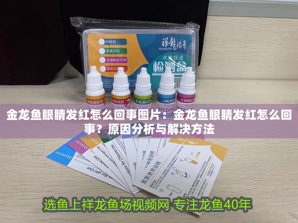 金龍魚眼睛發(fā)紅怎么回事圖片：金龍魚眼睛發(fā)紅怎么回事？原因分析與解決方法