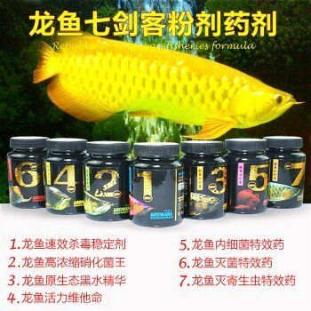 龍魚有寄生蟲用什么藥（龍魚寄生蟲用什么藥）